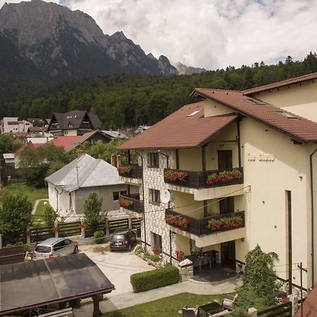 The Ghetto Hotell Buşteni Eksteriør bilde